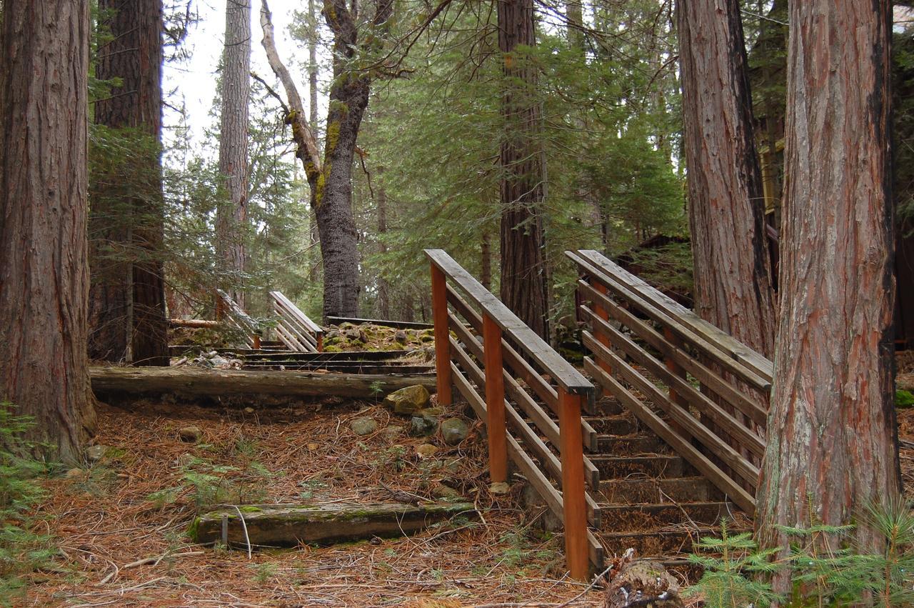 Chalet 6s Fretzs Den South Wawona